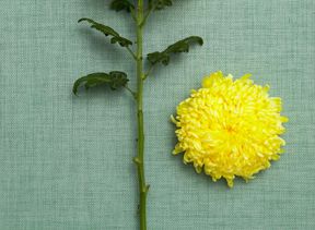 How To Pick Symbolic Wedding Flowers