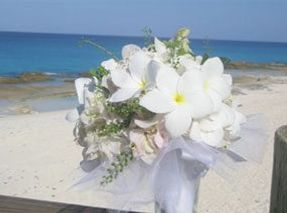 Weddings in the Bahamas