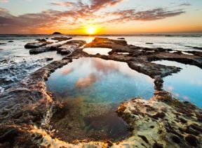 How To Plan A Destination Wedding In Auckland, New Zealand