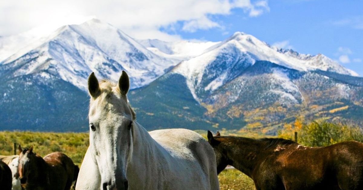 5 Great Reasons To Honeymoon In Colorado - Weddingbells