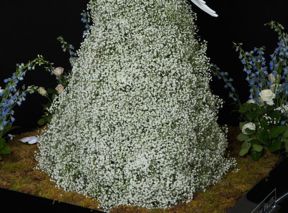 Canadian Florists Predict What The Royal Wedding Flowers Will Look Like